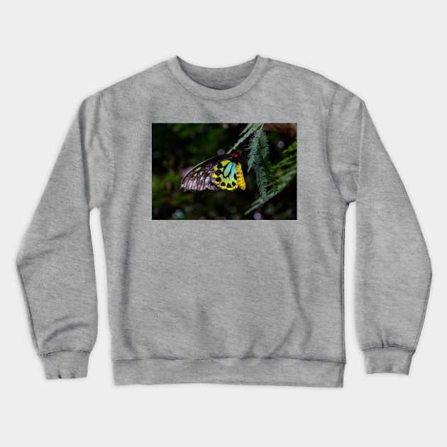 Cairns Birdwing Butterfly Crewneck Sweatshirt by Rob Johnson Photography